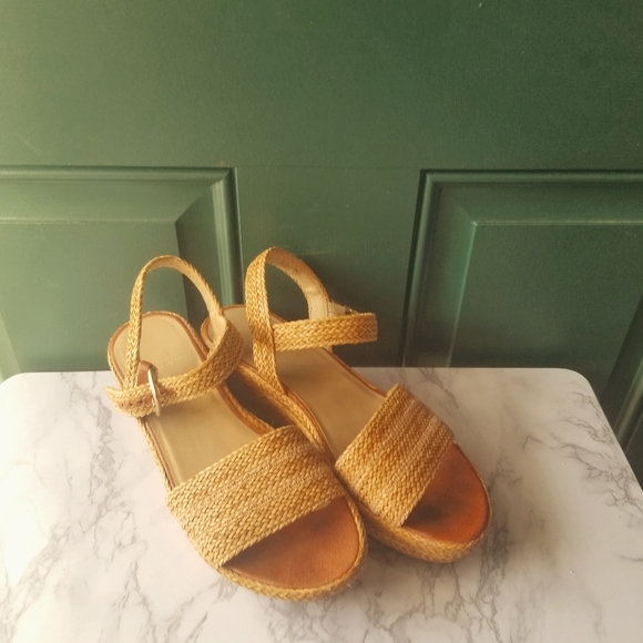 Stuart Weitzman Shoes - Stuart Weitzman Plaform Sandals